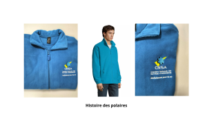 polaire